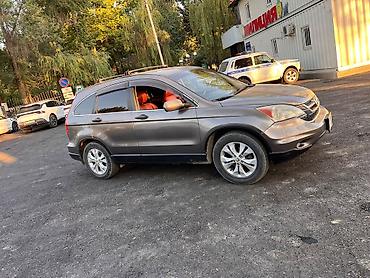 срв 1997: Honda CR-V: 2010 г., 2.4 л, Автомат, Бензин, Кроссовер — 6