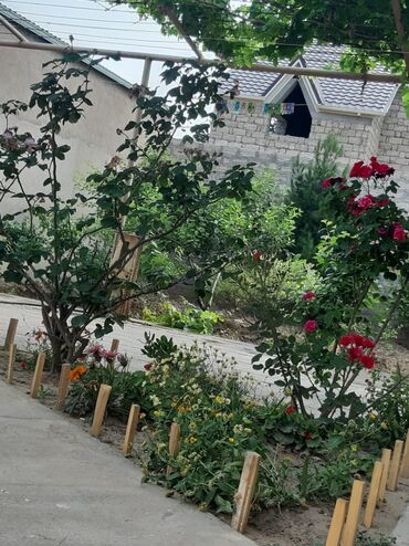 Bağ evlərinin satışı: Bakı, Bilgəh qəs., 350 kv. m, 6 otaqlı, İnternet, Telefon, Qaz — 8