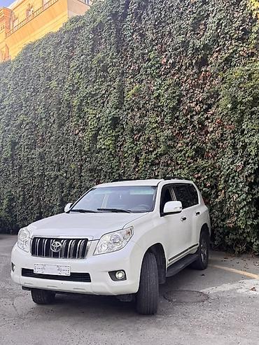 disklərin satisi: Tecili satılır!! Toyota Land Cruiser Prado – ağ rəngli, tam ölçülü — 4
