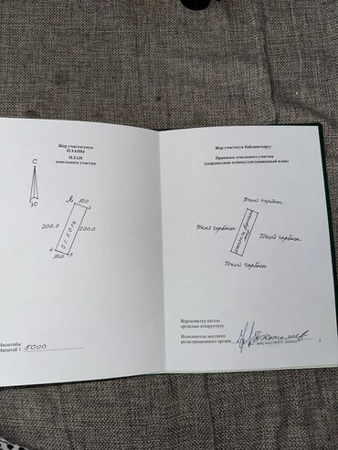 талас терек: 100 соток, Бизнес үчүн, Үлүштүк катыш келишими, Башкы ишеним кат
