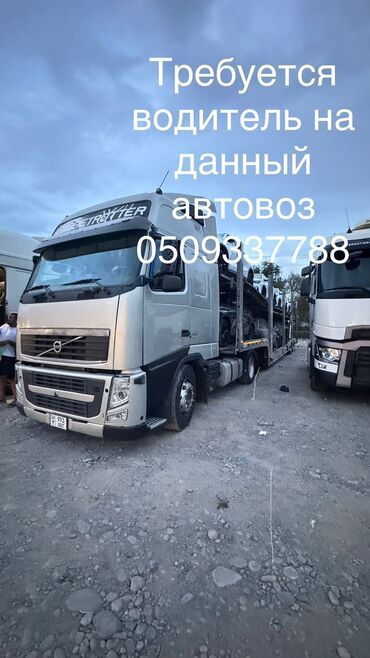 ищу работу город ош: Требуется водитель на данный автовоз категория С С1 Е с опытом