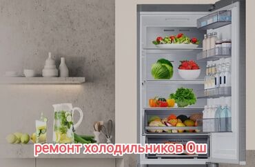 химчистка оборудование: Профессиональный ремонт холодильников в Оше. - Диагностика и