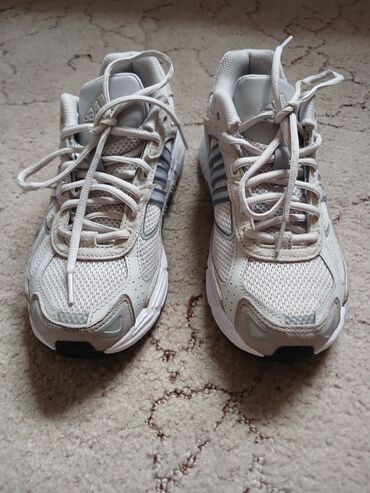 Women's Sneakers and athletic shoes: Кроссовки, 37, Adidas, Новый, цвет - Серый, Бесплатная доставка — 9