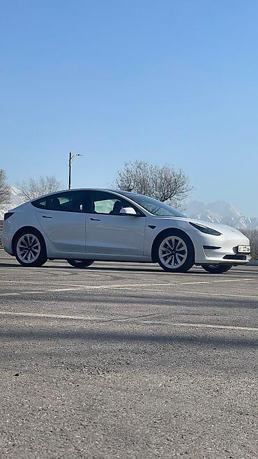 model y: Tesla Model 3: 2021 г., Автомат, Электромобиль, Седан — 5