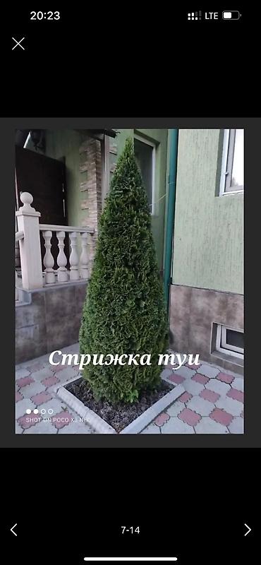 Дворники, садовники: 🌱Я Садовник приходящий раз в неделю Стрижка живой — 7