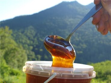 чёрный мед: ГОРНЫЙ МЁД 🍯 чистый натуральный! Ысыккульский Тюпский р-н!