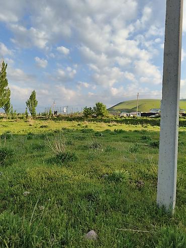 Продажа участков: 5 соток, Красная книга — 4