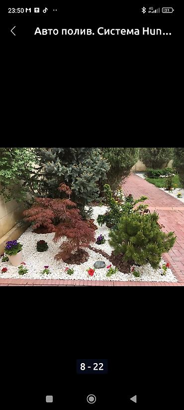 Газон: Сеем Газон и Автополив at lalafo.kg — 5 Газон: Сеем Газон и Автополив — 5