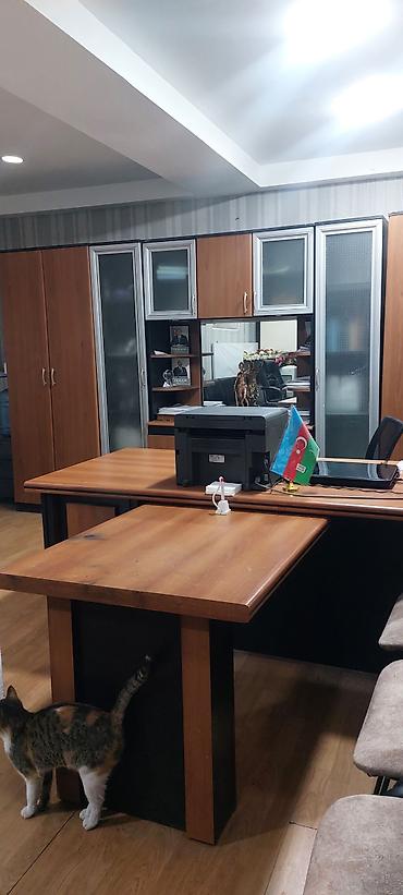 Kommersiya daşınmaz əmlakı: Şəhərin mərkəzində Süleyman Rüstəm 143a binanın yarızirzəmisində 50 kv — 1