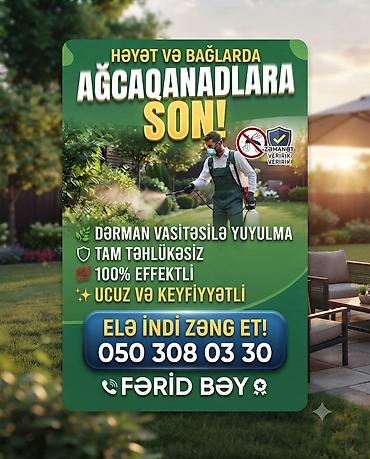 hava peci: Dezinfeksiya, dezinseksiya | Həyətlər — 1