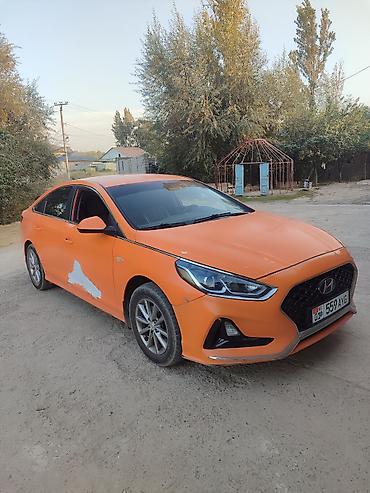 руловой: Hyundai Sonata: 2019 г., 2 л, Автомат, Газ, Седан — 4