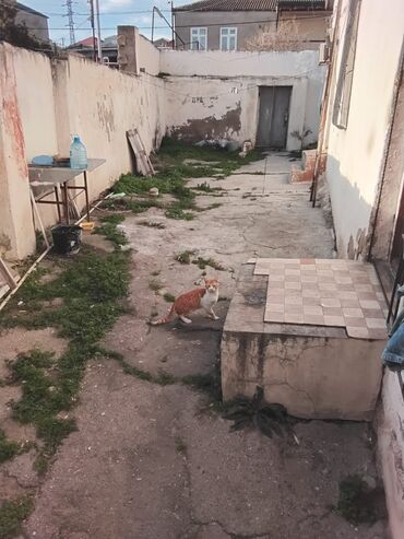 Həyət evləri və villaların satışı: M.Ə. Rəsulzadə qəs. 4 otaqlı, 70 kv. m, Təmirsiz -da lalafo.az — 6 Həyət evləri və villaların satışı: M.Ə. Rəsulzadə qəs. 4 otaqlı, 70 kv. m, Təmirsiz — 6