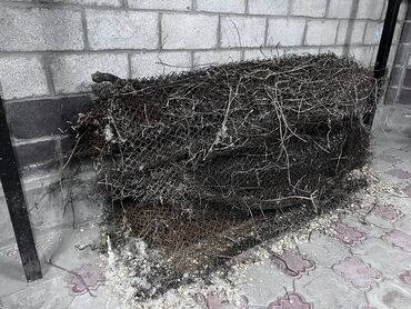 Другие товары для дома и сада: Продаю сетку рабицу 50-60метров б/у. Новопокровка Аккуратно замотана