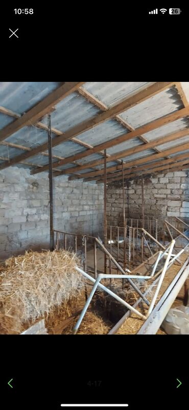 Həyət evləri və villaların satışı: Qala qəs. 3 otaqlı, 550 kv. m, Kredit yoxdur, Orta təmir — 9