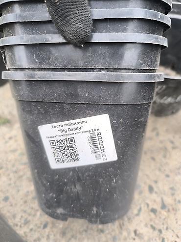 Өсүмдүктөр үчүн карапалар: Набор пластиковых горшков и контейнеров для растений разных форм и — 4