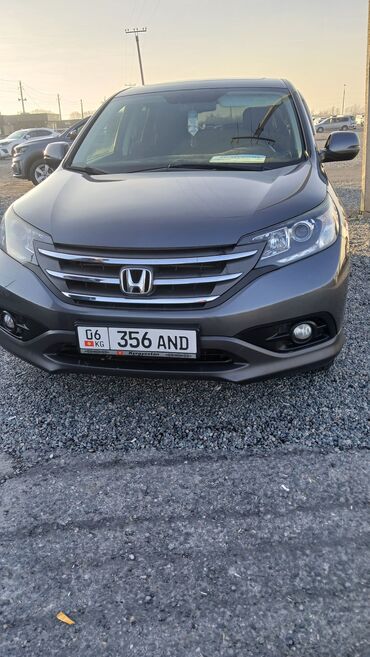 хонда сиербы: Honda Accord: 2012 г., 2.4 л, Автомат, Бензин