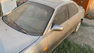пассат стекло: Volkswagen Passat Variant: 1991 г., 1.8 л, Механика, Бензин, Универсал — 8