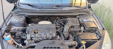 Kia: Kia Ceed: 1.4 l | 2009 il Hetçbek — 8