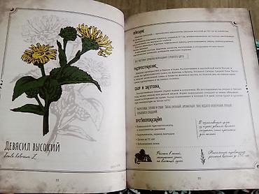local guide program: Продаю совершенно новую книгу. Идеально для подарка. Цена 1500с — 5