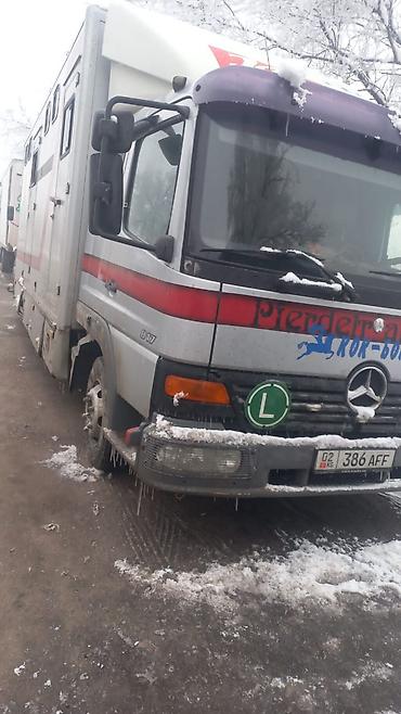 vag com: Грузовик-коневоз Mercedes-Benz Atego 817. - Специализированный кузов — 3