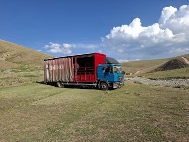 грузовой мерс сапок: Грузовик, MAN, Стандарт, 7 т, Б/у