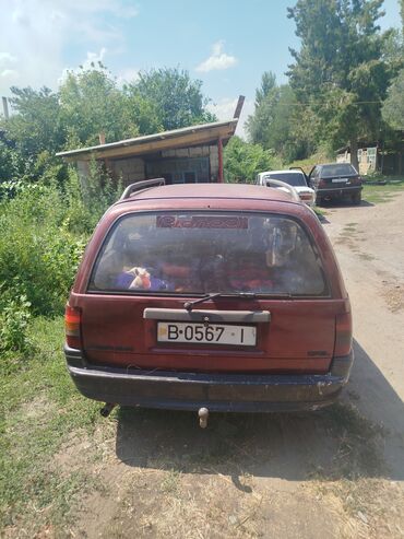 опель вектора б: Универсал красного цвета с рейлингами на крыше, предназначенный для