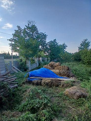 ipotekada olan menzillerin satisi: Для сельского хозяйства — 4