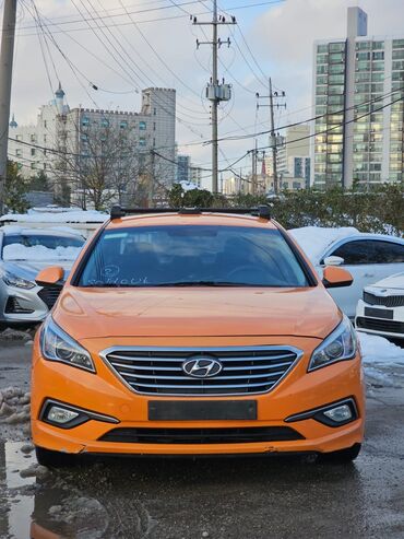 Птицы: Hyundai Sonata: 2019 г., 0.2 л, Автомат, Газ, Седан