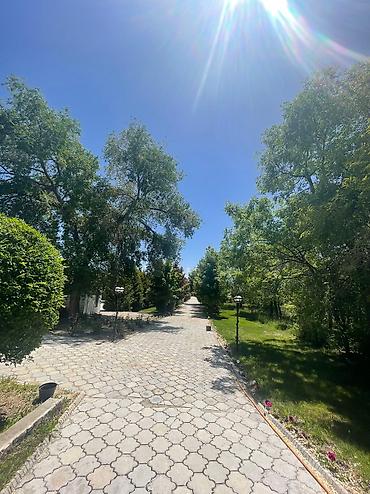 Иссык-Куль 2026: Коттедж, Иссык-Куль 2025 ЦО Илбирс Саадат, Детская площадка, Парковка, стоянка, Охраняемая территория — 12