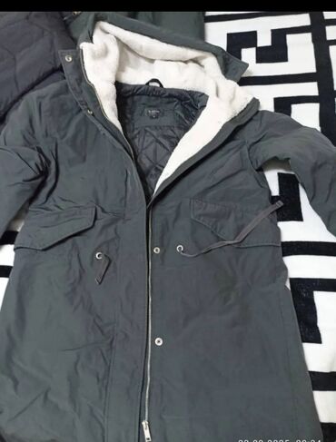 возьму породистого щенка бесплатно: Меняю каждую на 3кг стирального порошка Тайд размеры М, Остин