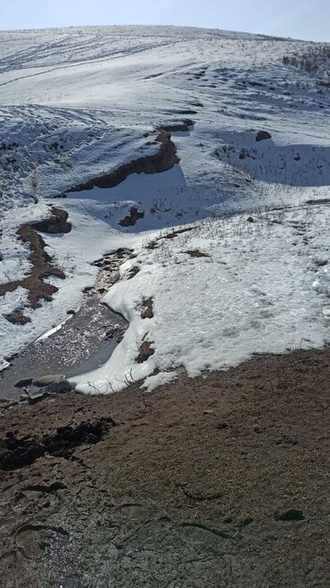 Услуги портера: Заказать Самосвал, Доставка щебня, угля, песка, чернозема, отсев — 16