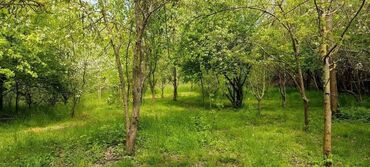 Günlük kirayə evlər: 120 kv. m, 3 otaqlı, Artezian quyusu, İnternet, Qaz -da lalafo.az — 26 Günlük kirayə evlər: 120 kv. m, 3 otaqlı, Artezian quyusu, İnternet, Qaz — 26