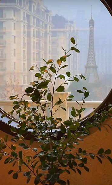 life network system: Товарищество собственников жилья ЖК «Французский квартал» состоящий из — 3