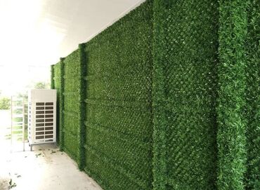 Bağ və bostan üçün digər məhsullar: Yasil hasarlarin ve suniqazonarin topdan ve perekende satisi endirimer — 3