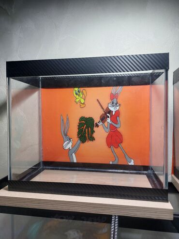 Akvariumlar: Şüşə akvarium – dekorativ fonlu modellər ölçü 30×25×15 Məhsul təsviri — 10