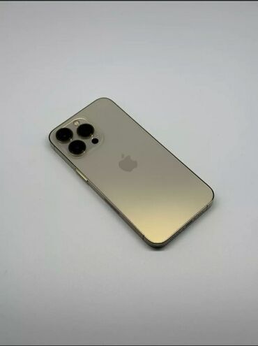 Apple iPhone: IPhone 13 Pro, 256 GB, Gümüşü, Zəmanət, Kredit, Barmaq izi