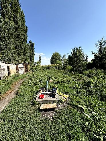 петровке: 📌В московском районе село Петровка, вдоль трассы Кара-Балта Бишкек — 3