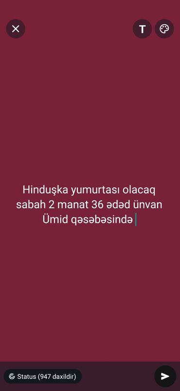 Hinduşka: Dişi, Kanada, Holland, Amerika, Yumurtalıq, Ünvandan götürmə, Pulsuz çatdırılma, Ödənişli çatdırılma