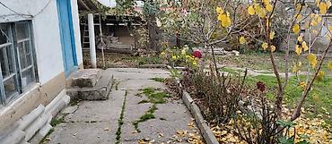 yeni əmlak az: 36 sot, Tikinti, Mülkiyyətçi, Kupça (Çıxarış) — 2