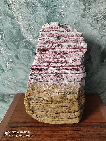 Аквариумы: Водоросли живые: Анубиас Бартера, нана ( цветут белыми и розовыми — 16