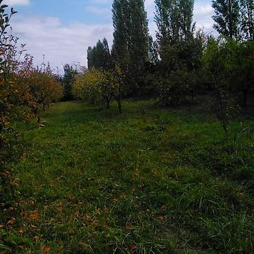 evler zabrat: 37 sot, Tikinti, Bələdiyyə, Müqavilə — 7