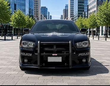dodg: Силовой бампер Dodge, Новый, Бесплатная доставка — 5