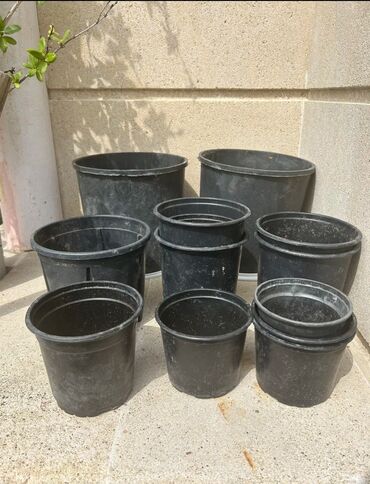 Уличные растения: Plastik,kauçuk gül və dibçək qabları satılır. Cəmisi 60