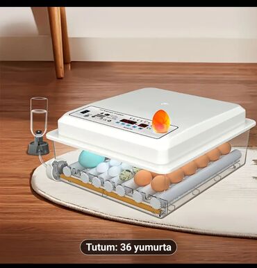 Süd sağan aparatlar: Çin, Fabrik istehsalı