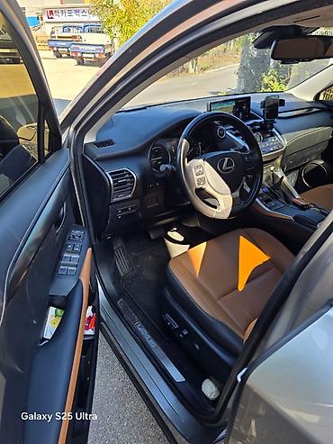 Lexus: Lexus NX: 2020 г., Гибрид, Кроссовер — 12