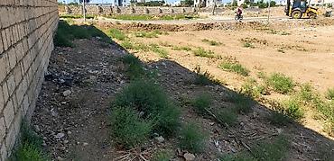ev alqi satqsi: Kənd təsərrüfatı, Kupça (Çıxarış) — 1