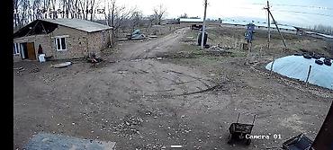 argus security systems: Установка и продажа систем видеонаблюдения под ключ от мировых — 4