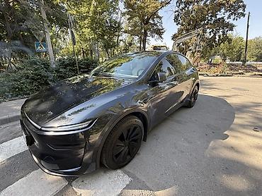 crown 2020: Tesla Model Y: 2025 г., Автомат, Электромобиль, Кроссовер — 6