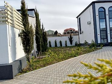 шеки: Баку, Мярдяканы, 175 м², 4 комнаты, С бассейном — 5