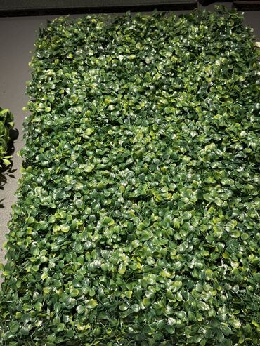 Süni güllər: Dekorlarin topdan ve perekende satisi — 7